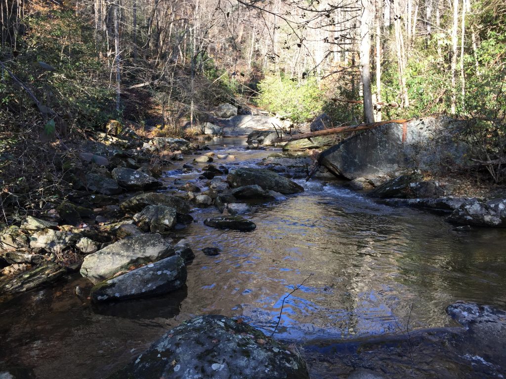 Mountain creek running over boulders through a leafless hardwood forest with rhododendron along the banks in winter